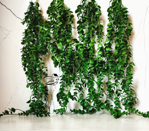 آویز شمشاد 12شاخه سبز ارتفاع 82