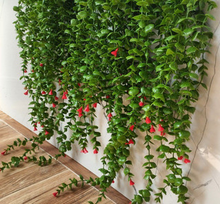 آویز شمشاد 15 شاخه گلدار رنگ قرمز
